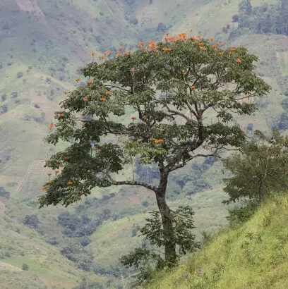 Financieel jaarverslag